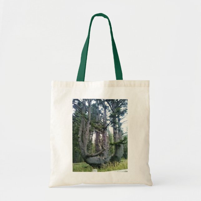 Octopus Tree, Cape Meares, Oregon Tote Bag (Front)