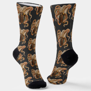 Octopus Vulgaris, Vintage Marine Life Animals Socks