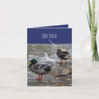 Odd Duck Happy Birthday Card