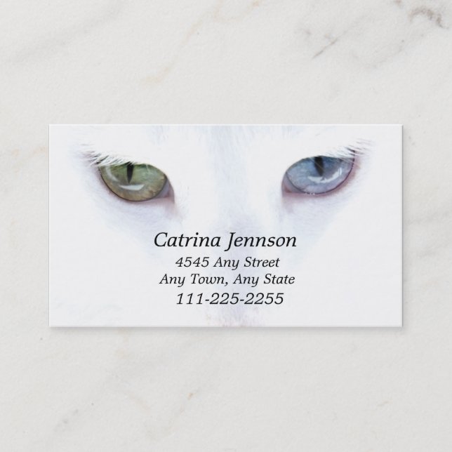 Odd eyed Cat  Business Card (Front)