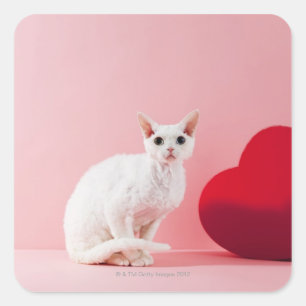 Odd-eyed cat square sticker