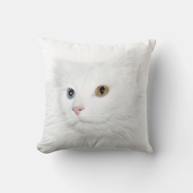 Odd eyed white cat face cushion (Front)