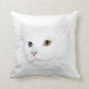 Odd eyed white cat face cushion