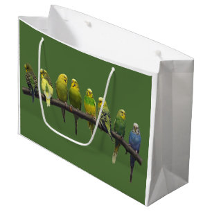Odd One Out Gift Bag