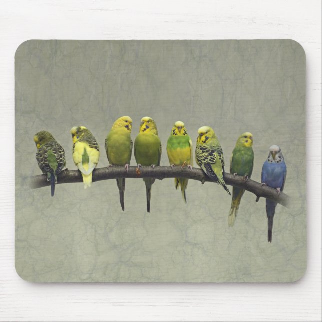 Odd One Out Mousemat (Front)