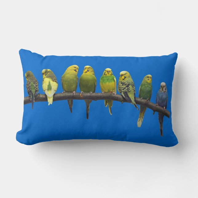 Odd One Out Pillow (Blue) (Front)