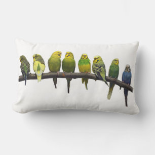 Odd One Out Pillow (White)