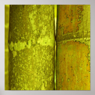 Ode To Bamboo Poster