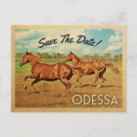 Odessa Texas Save The Date Horses