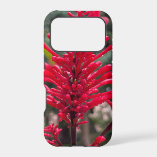 Odontonema for iPhone17 pro cover