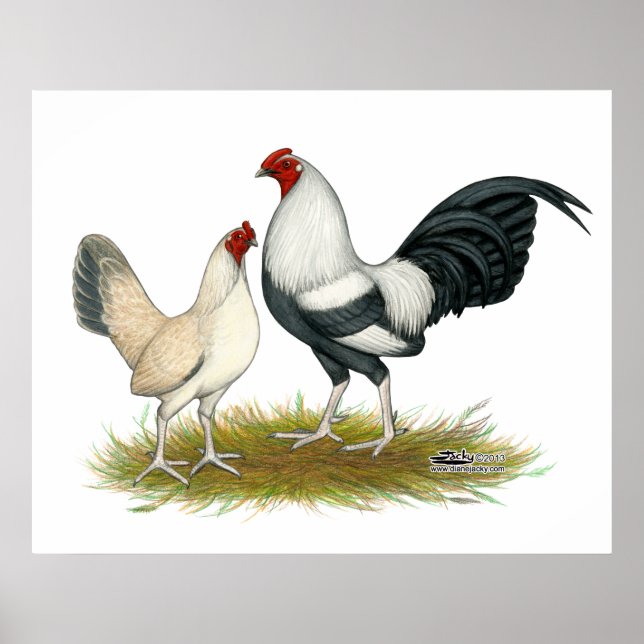 OE Game Blue Silver Wheaten Poster (Front)