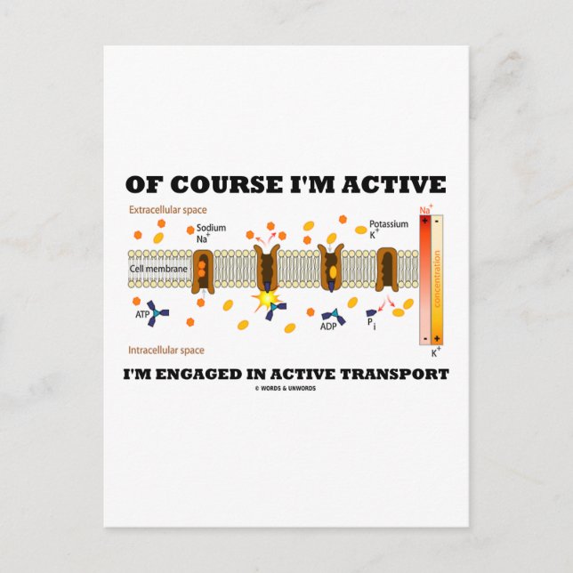Of Course I'm Active I'm Engaged Active Transport Announcement Postcard (Front)