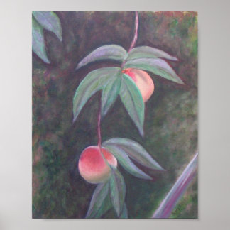 OF FLORIDA PEACHES Poster