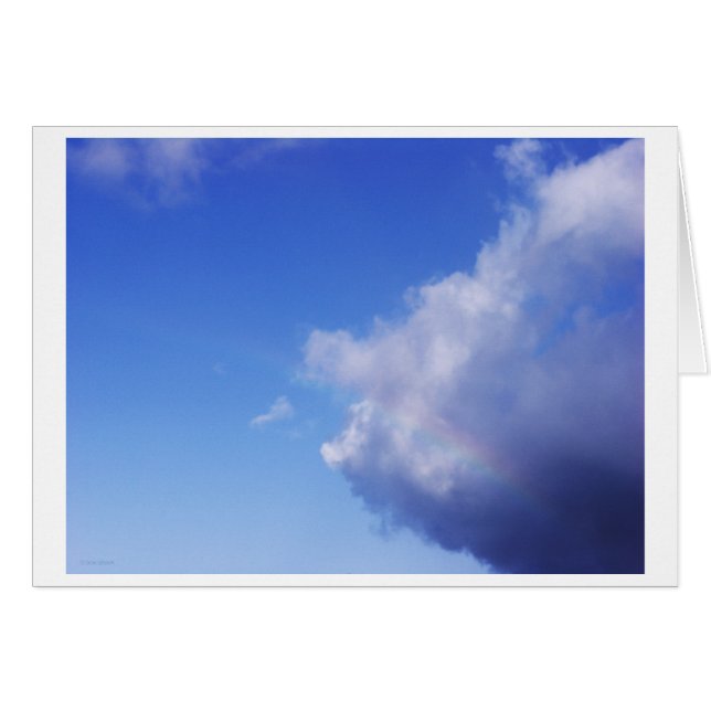 of pigs & rainbows (Front Horizontal)