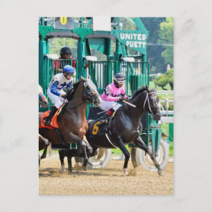 Off at Saratoga Postcard