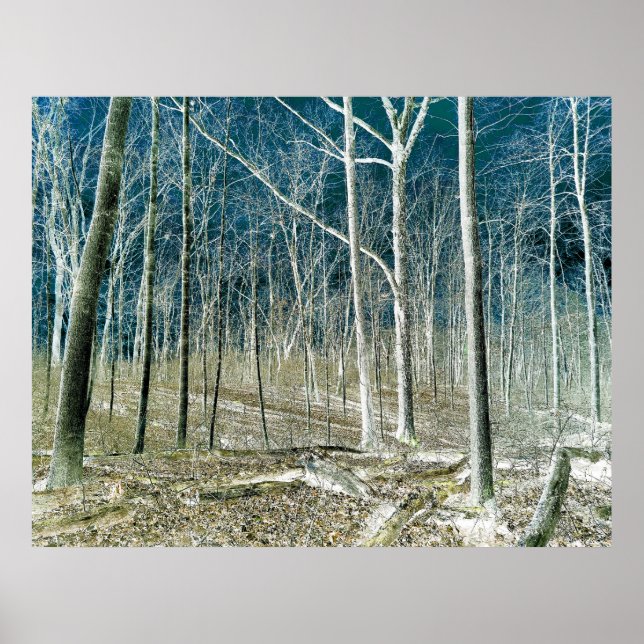 Off the Path version 1 Poster (Front)