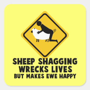 Offensive funny sheep square sticker