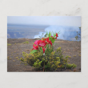 Offering to Pele, Hawaiian Volcano Goddess Postcard