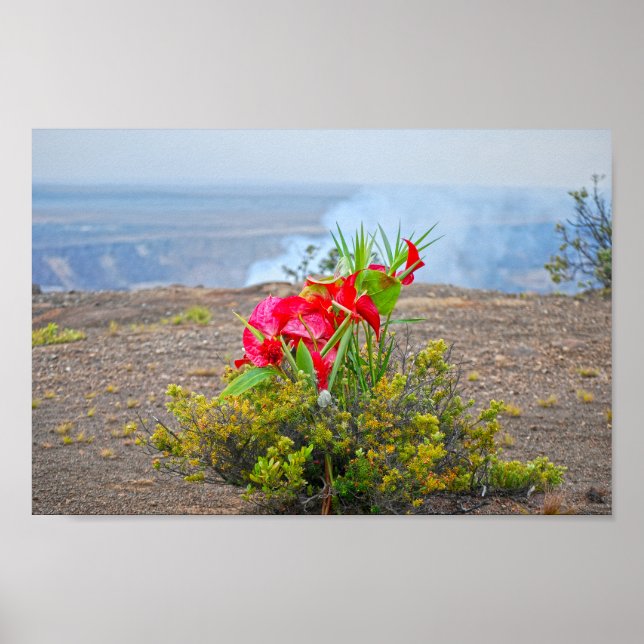 Offering to Pele, Hawaiian Volcano Goddess Poster (Front)