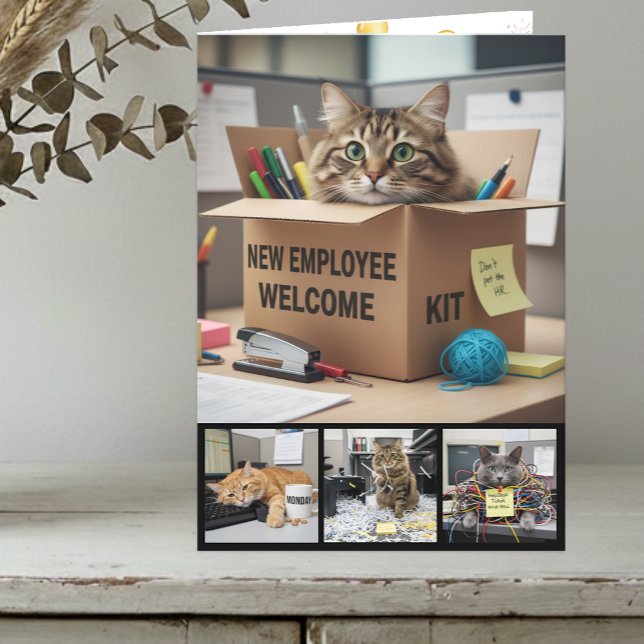 Office Fun Cats Photo Card, Business Cat Card (Office Cats Photo Card / customize inside)