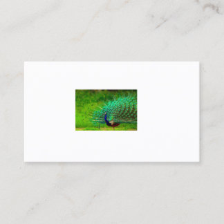  Office & School > Business Cards