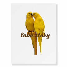 Office & School > Promotional Products & Small Bus