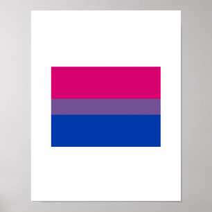 OFFICIAL BISEXUAL PRIDE FLAG POSTER