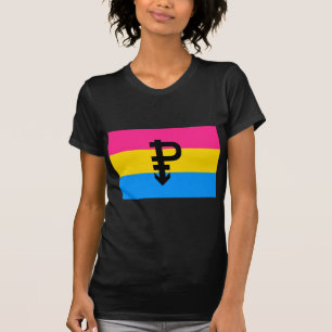 OFFICIAL PANSEXUAL PRIDE FLAG T-Shirt