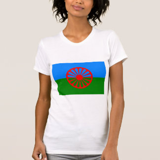 Official Romany gypsy flag T-Shirt