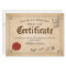 Official Santa Nice List Certificate Holiday Card
