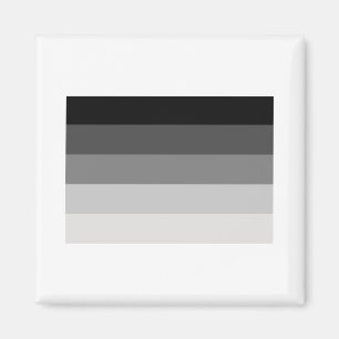 OFFICIAL STRAIGHT PRIDE FLAG MAGNET
