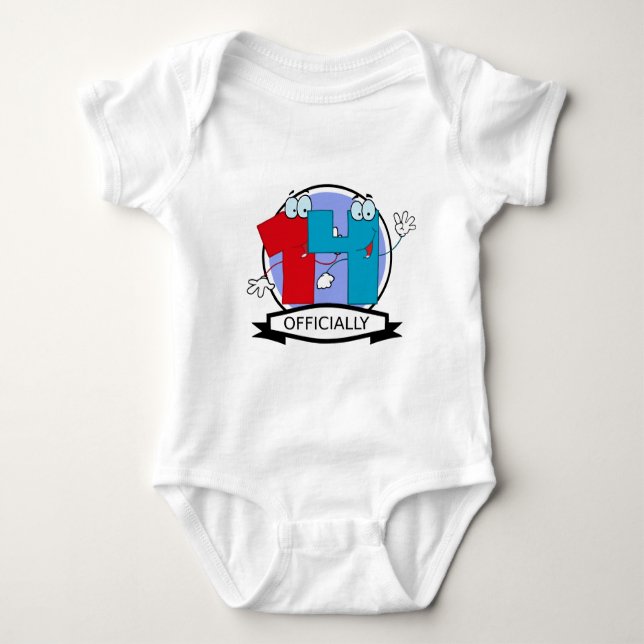 Officially 14 Birthday Banner Baby Bodysuit (Front)