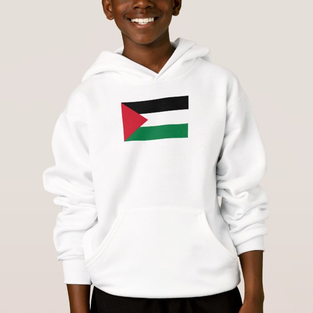 officially the State of Palestine country flag (Front)