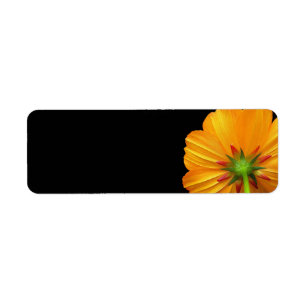 Offset Cosmos Return Address Labels