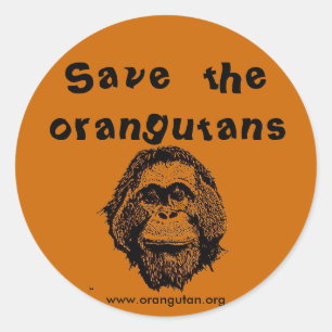 OFI - saving orangutans & rainforest Classic Round Sticker
