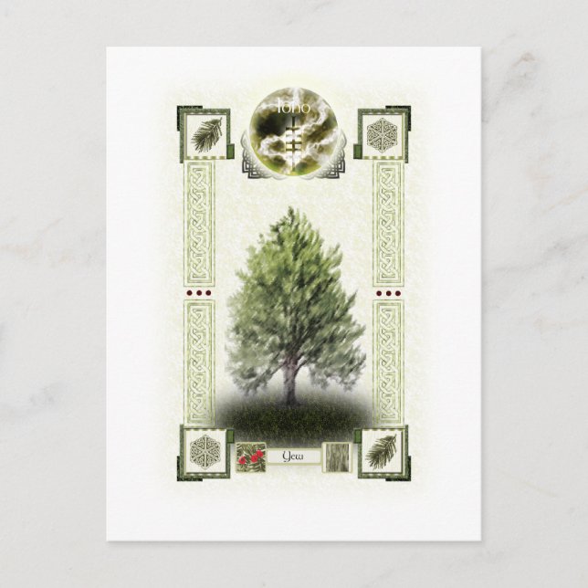 Ogham runes - Ioho Postcard (Front)