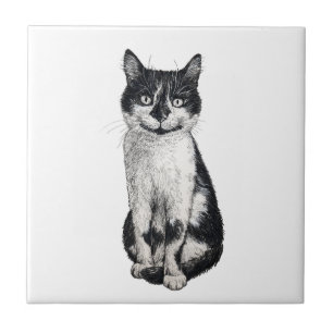 Ogie the cat ceramic tile