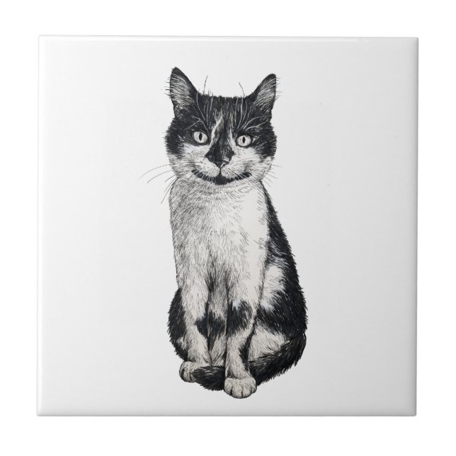 Ogie the cat ceramic tile (Front)