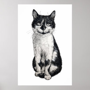 Ogie the cat poster