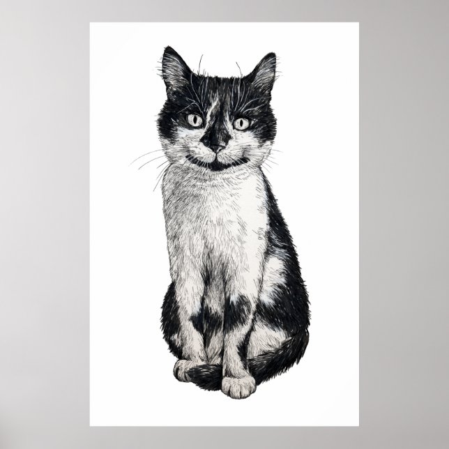 Ogie the cat poster (Front)