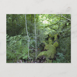 Oglebay Park, WV Postcard