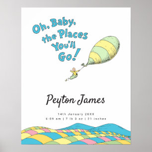 Oh, Baby, the Places You'll Go! Birth Stats Poster