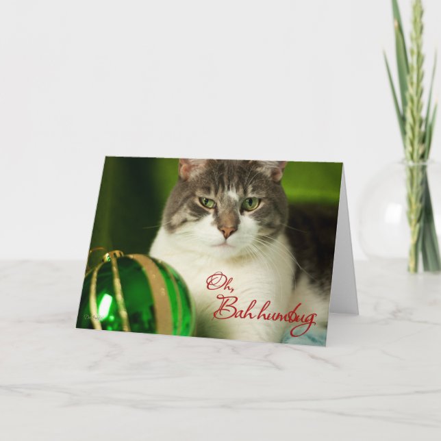 Oh, Bah Humbug Cat Card (Front)