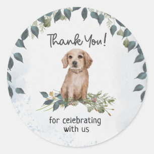 Oh Boy! Retriever Puppy Dog Thank you Classic Round Sticker