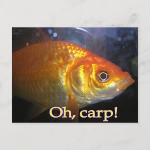 Oh, carp! postcard