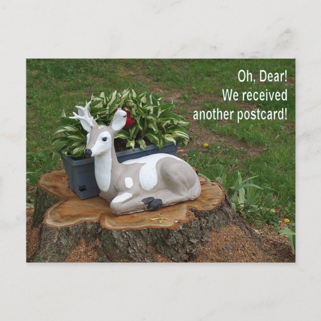 Oh, Dear Postcard (Front)