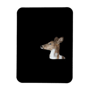 Oh Deer Minimal Modern Design Magnet