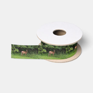 Oh Deer! Satin Ribbon