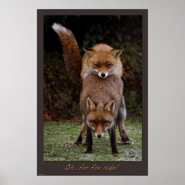 Oh..For Fox Sake Poster (Front)