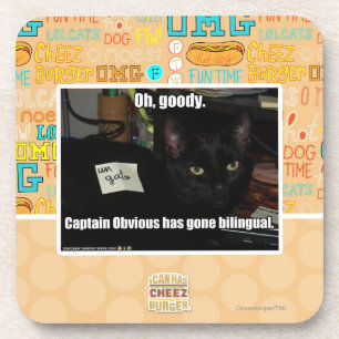 Oh, goody. coaster